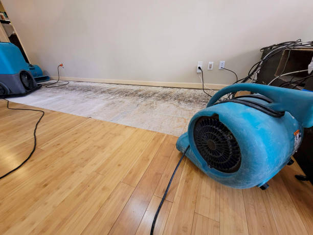 Professional Sewage Cleanup technician working in Pirtleville, AZ